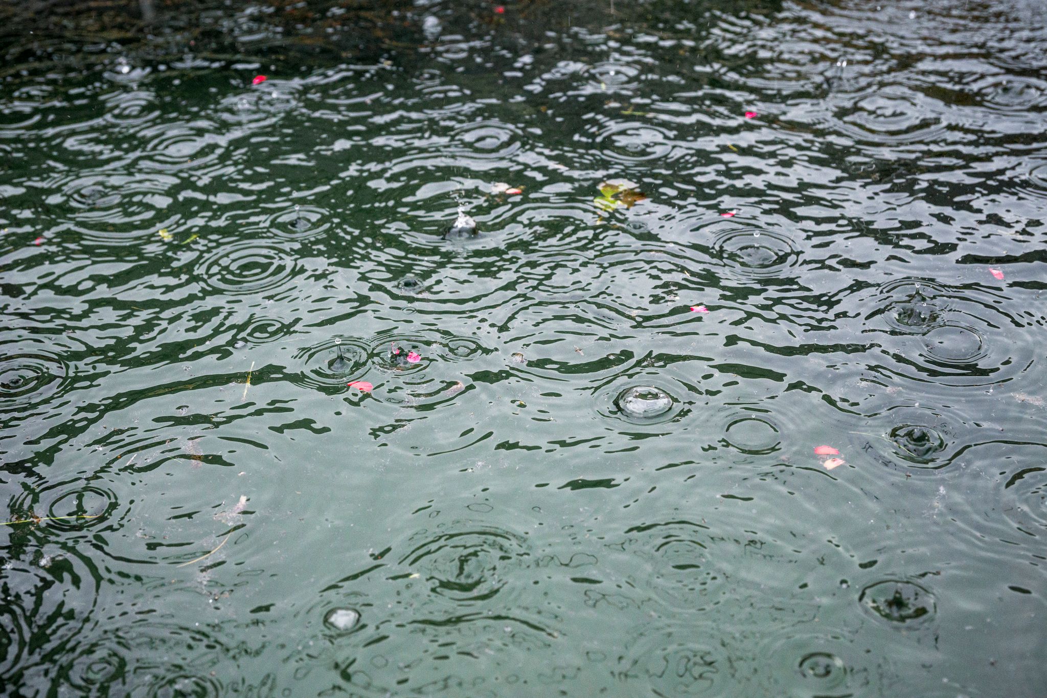 Regen und Gewitter: Samstag wird ungemütlich in Deutschland