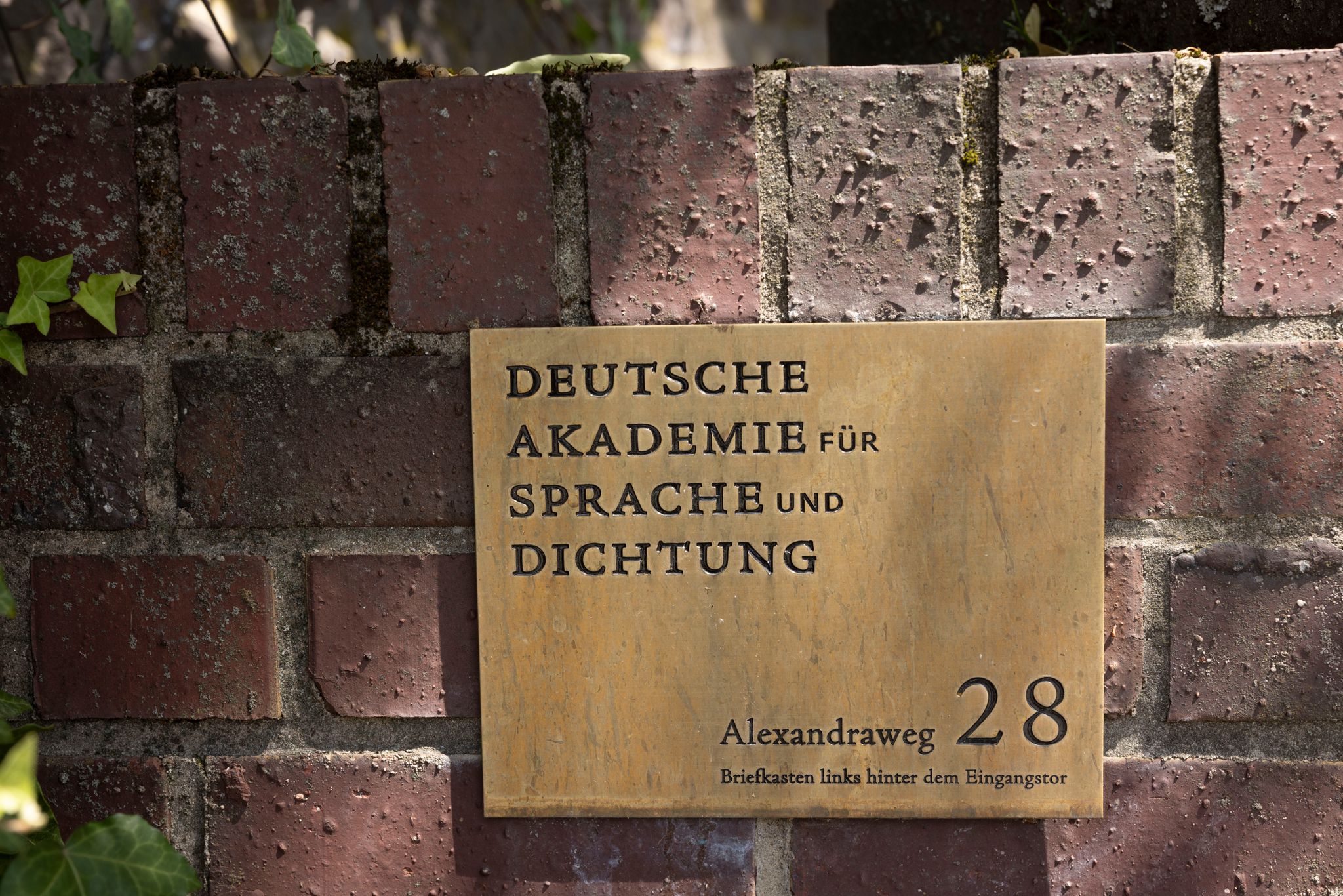 Büchner-Preis für Autor Egger – «Nachricht als Glücksgefühl»