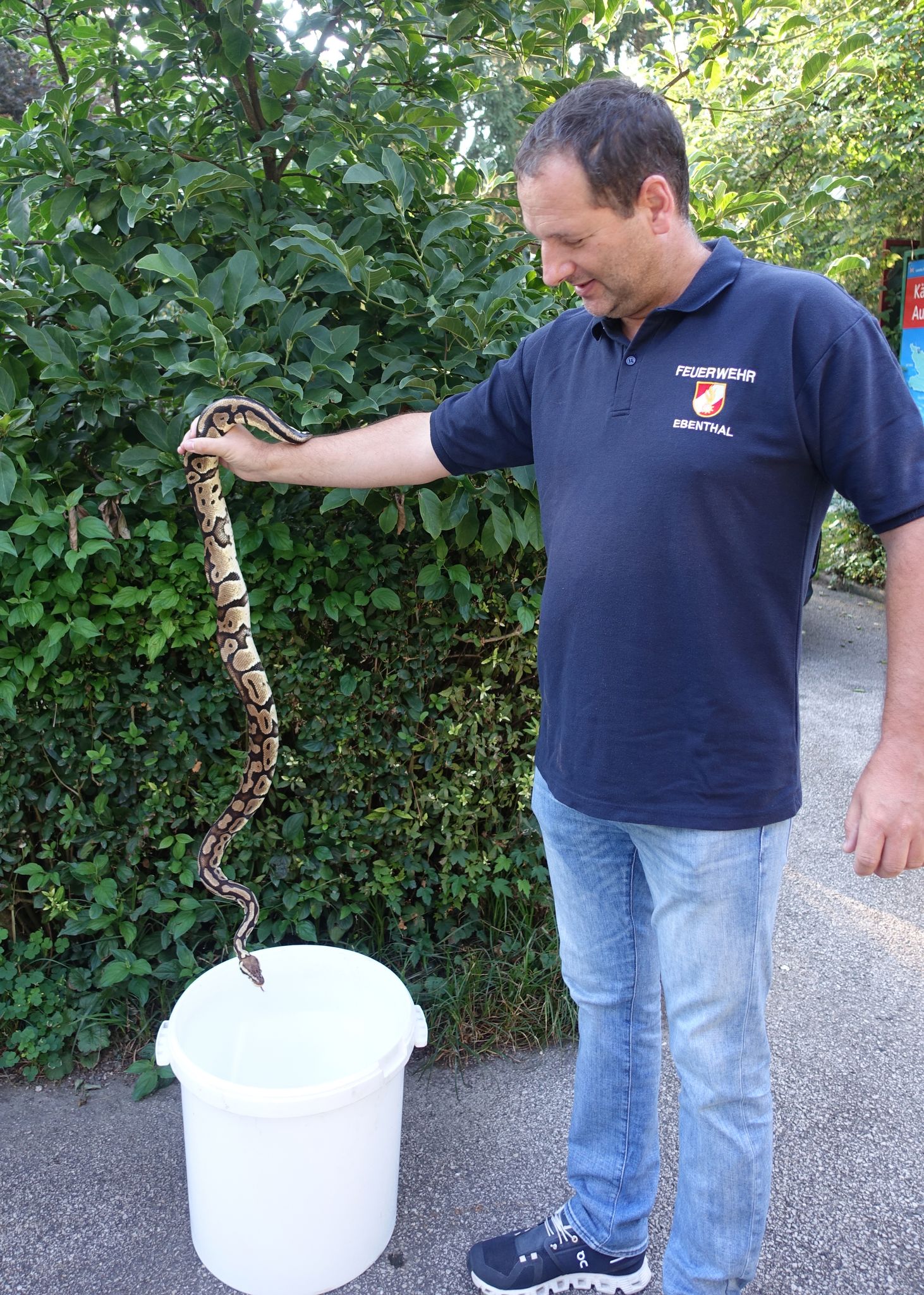 Hund findet exotische Riesenschlange in Kärnten