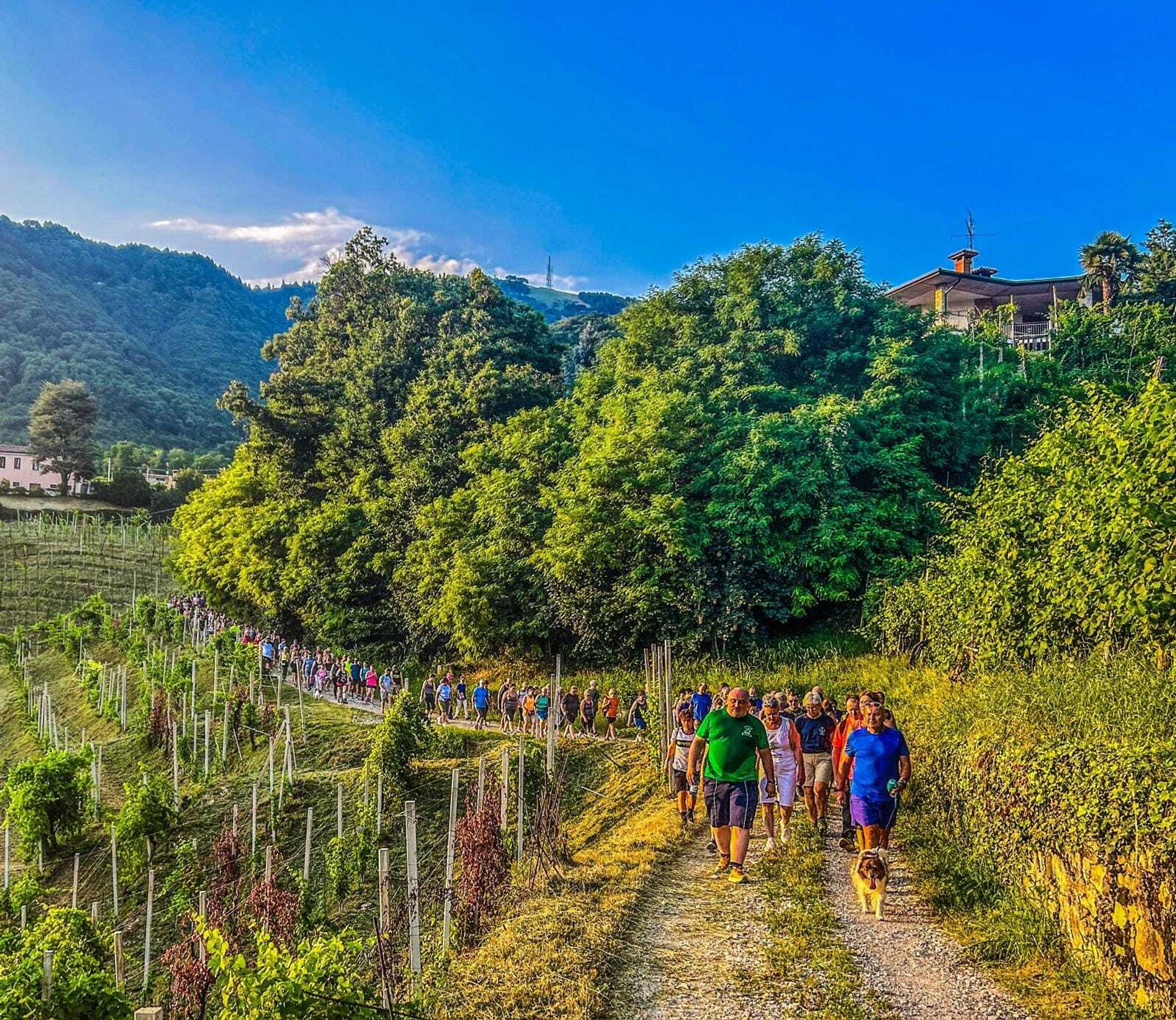 Gemeinde hilft Bürgermeister in Italien beim Abnehmen