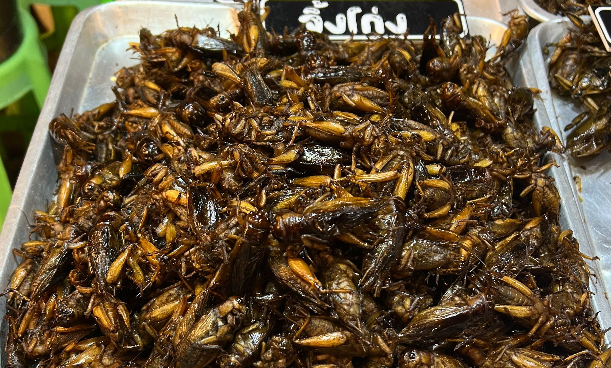 Singapur lässt 16 Insektenarten als Lebensmittel zu