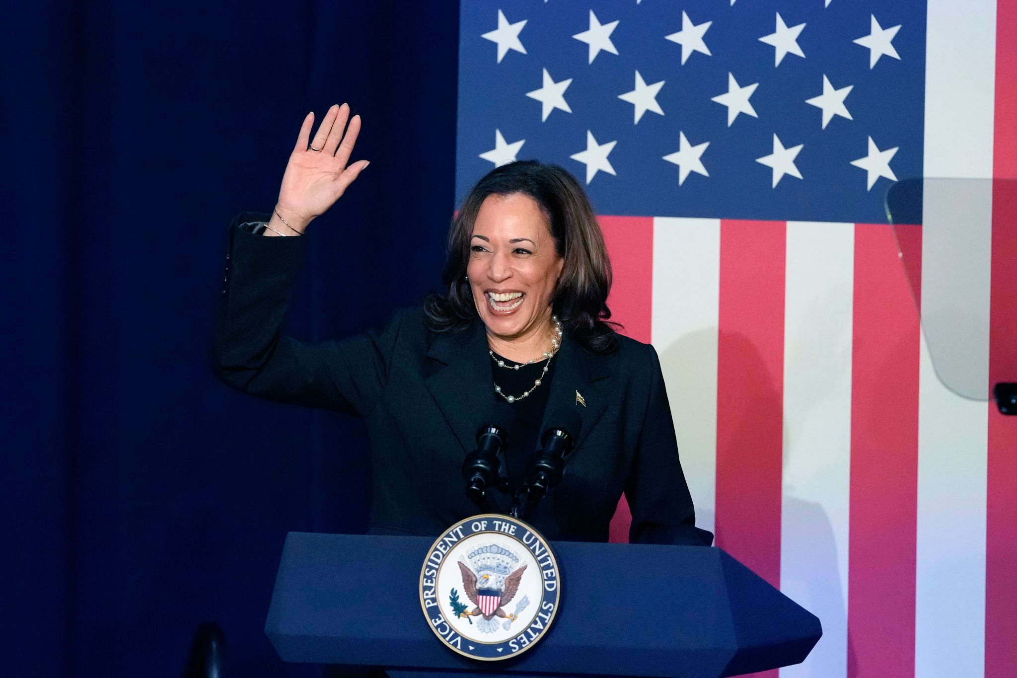 Die Frau, die es mit Trump aufnehmen will: Kamala Harris