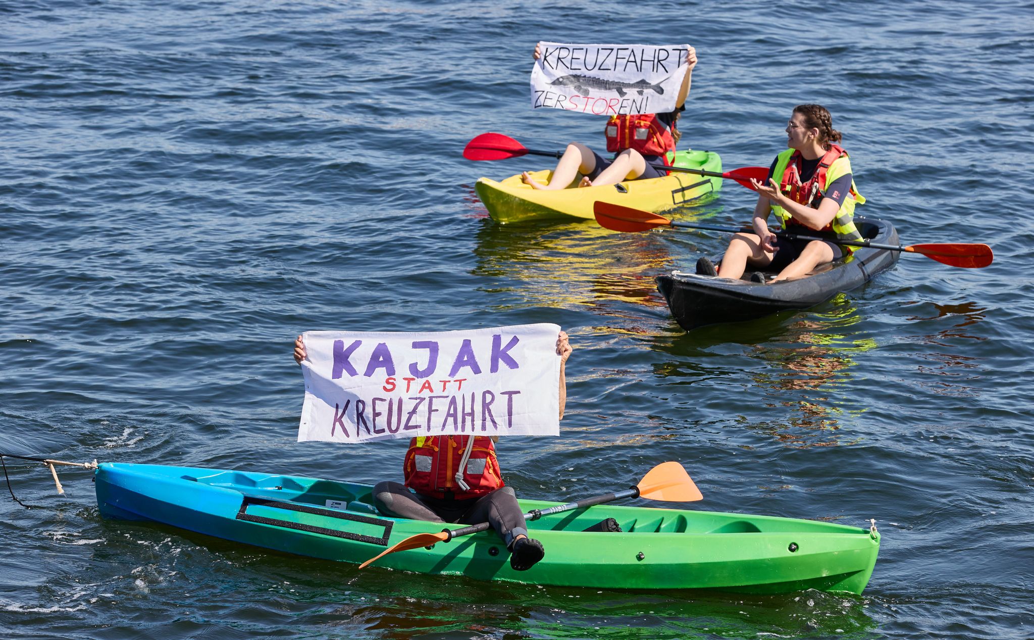 Deutsche Kreuzfahrtunternehmen unter Kritik des Nabu