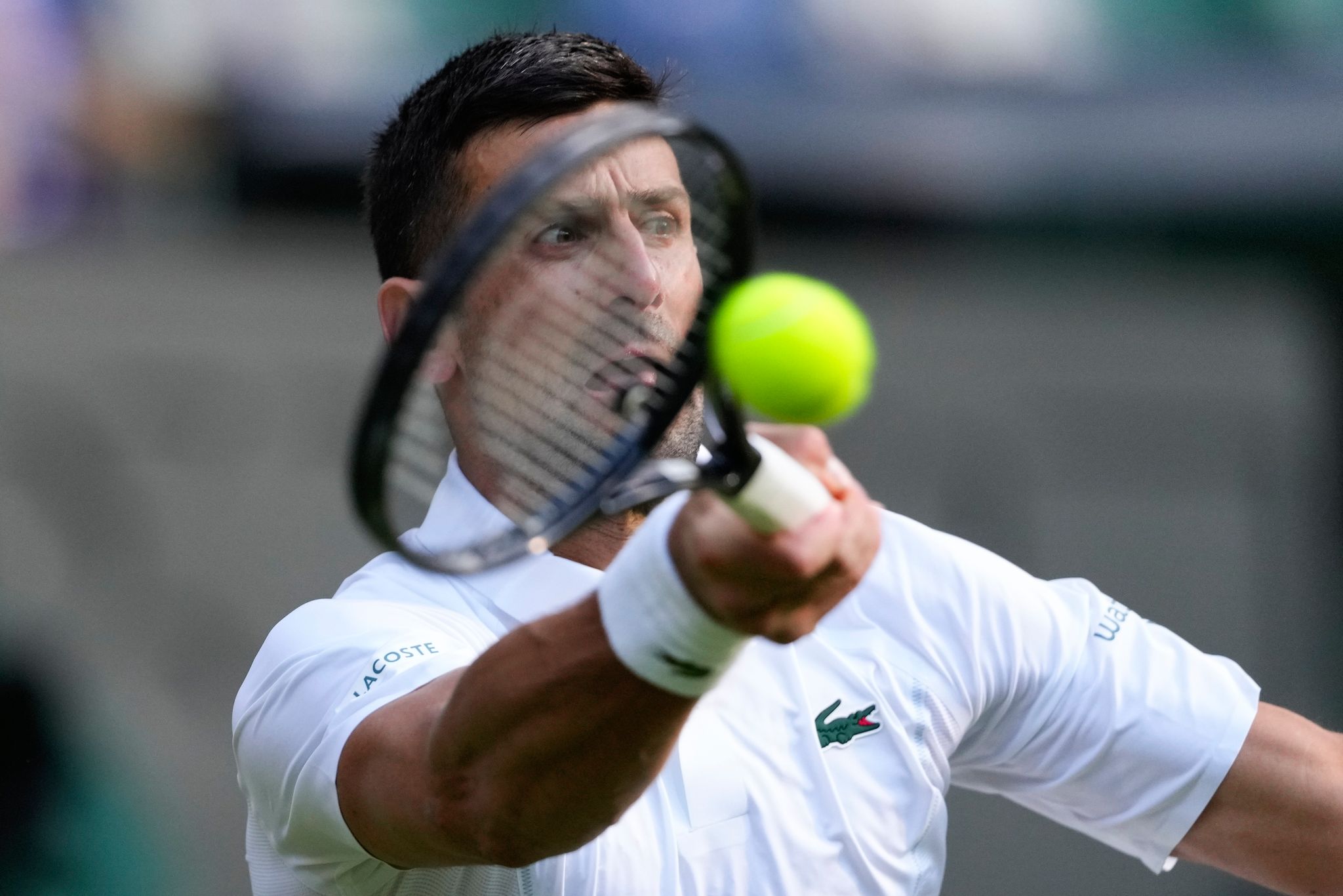 Djokovic kampflos ins Halbfinale – de Minaur verletzt