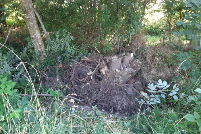 Elmshorn: Illegale Entsorgung von Pflanzenabfällen in Kölln-Reisiek