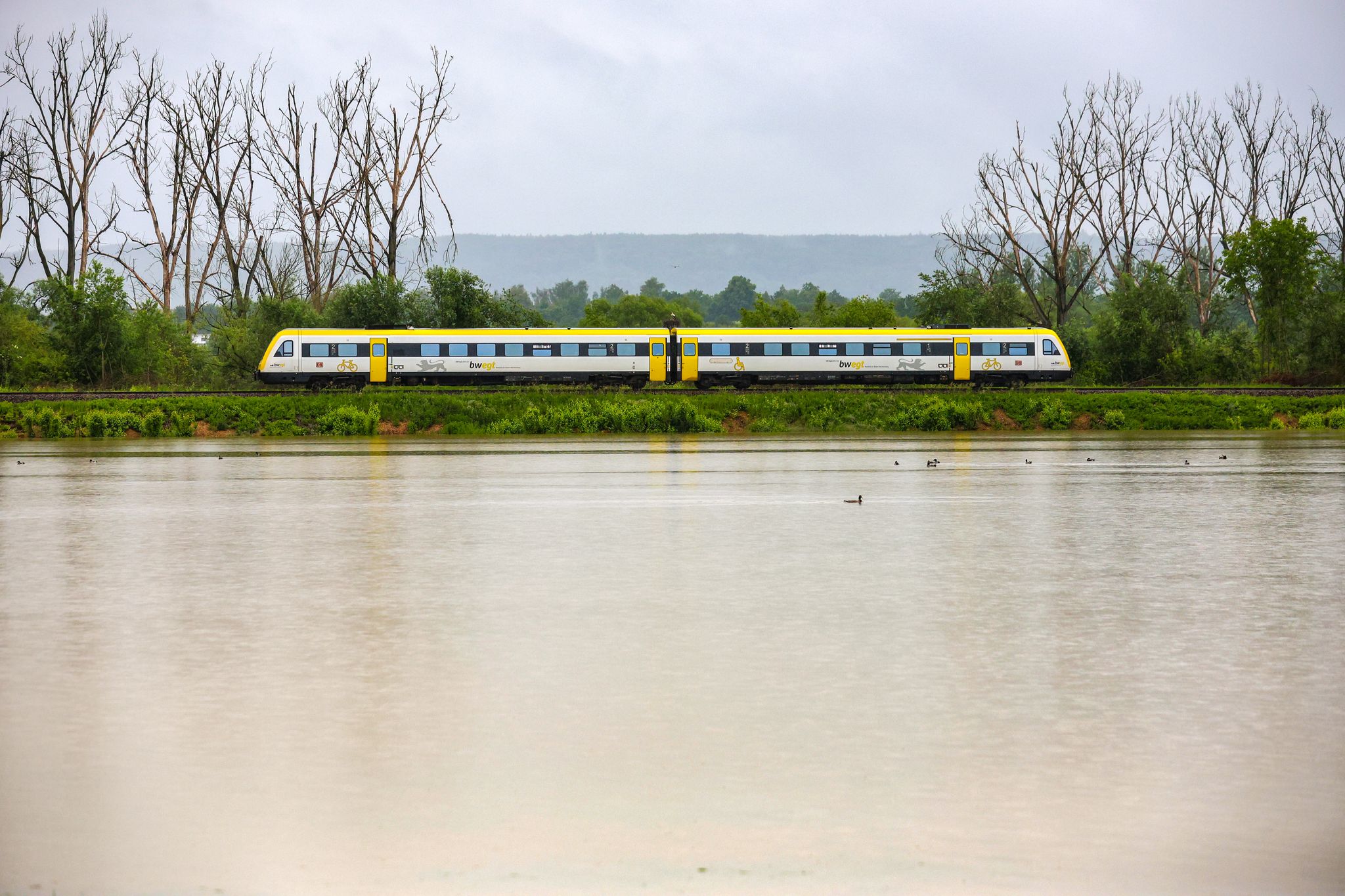 Extrem-Wetter lässt Bahn-Pünktlichkeit im Juni einbrechen