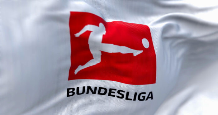 Bundesliga Transfers 2024