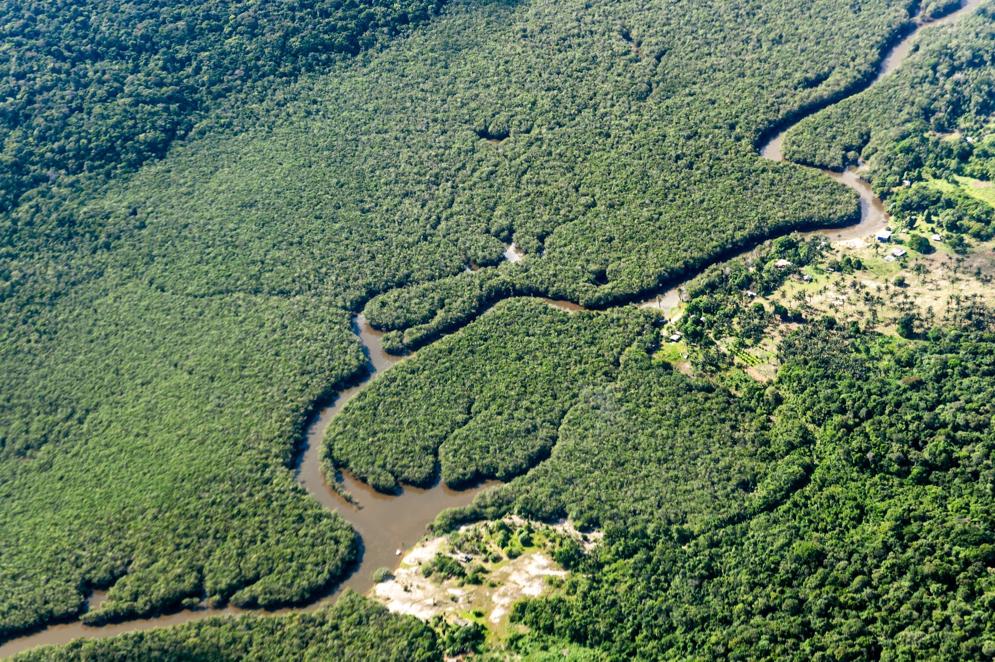 Amazonas-Regenwald emittiert mehr CO2 als aufnimmt