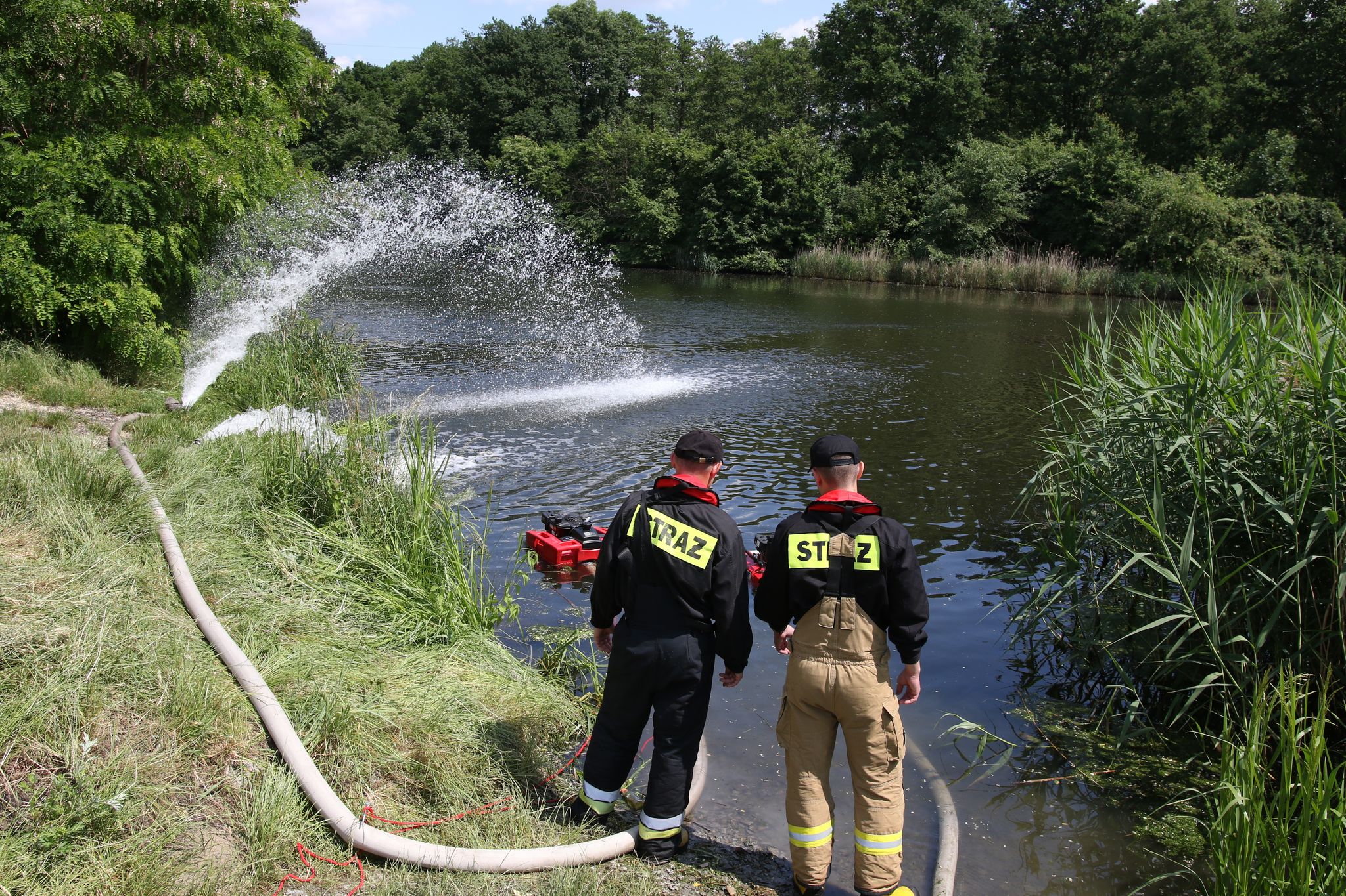 Umweltkatastrophe in Polen: Chemie gegen giftige Goldalge