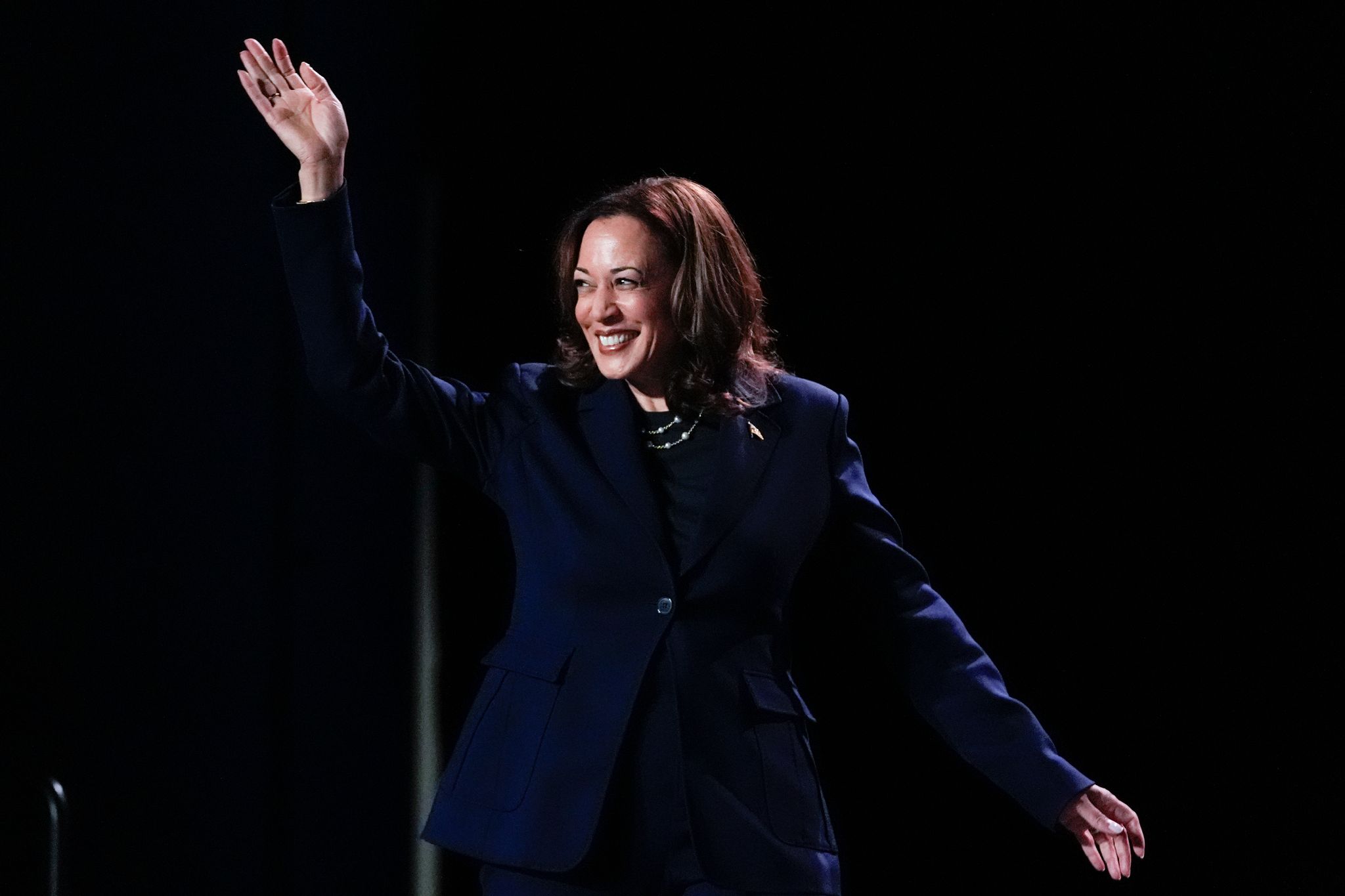 Digitale Abstimmung zu Harris-Nominierung gestartet