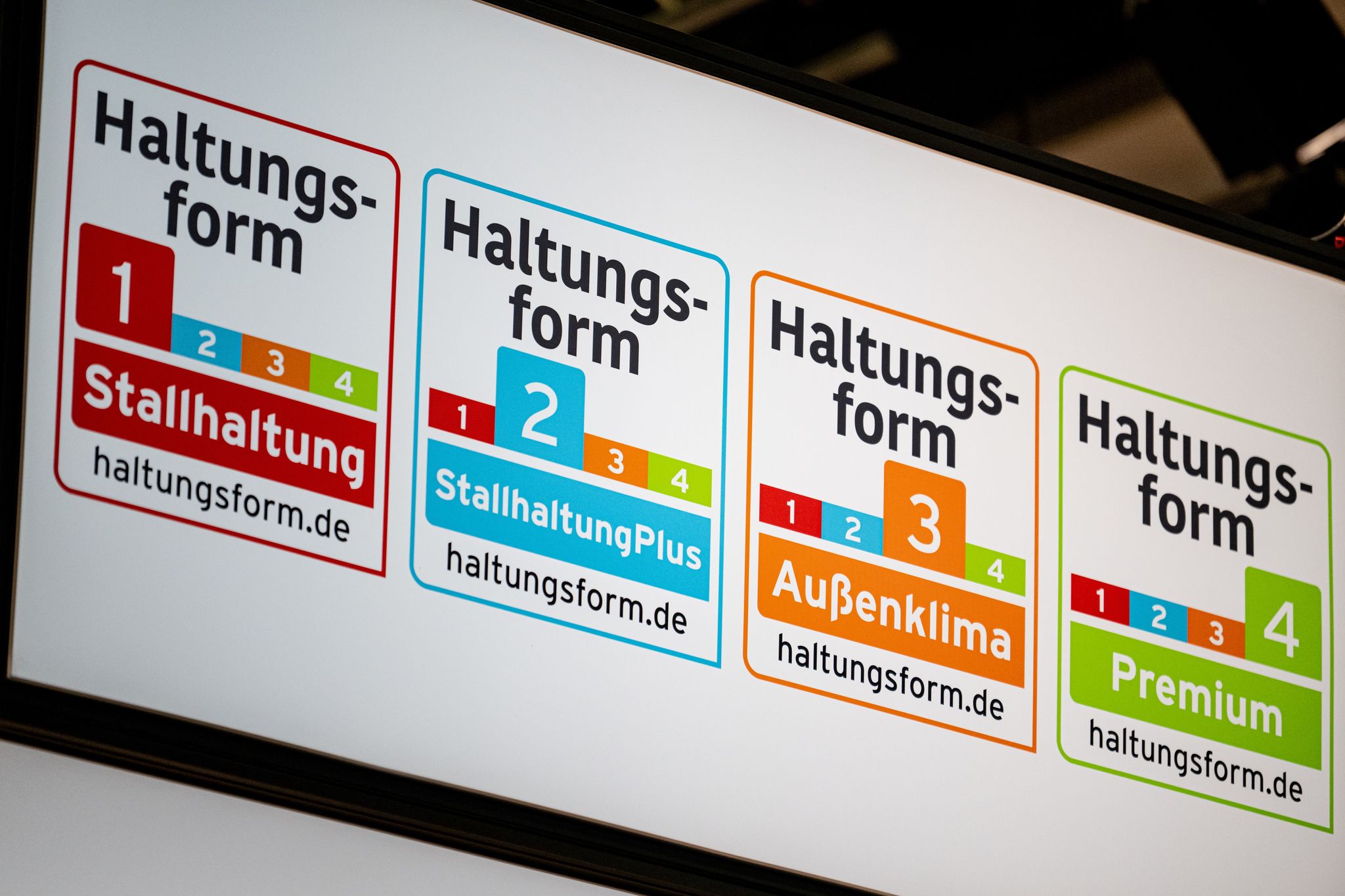 Fortschritte bei Supermärkten für bessere Tierhaltung