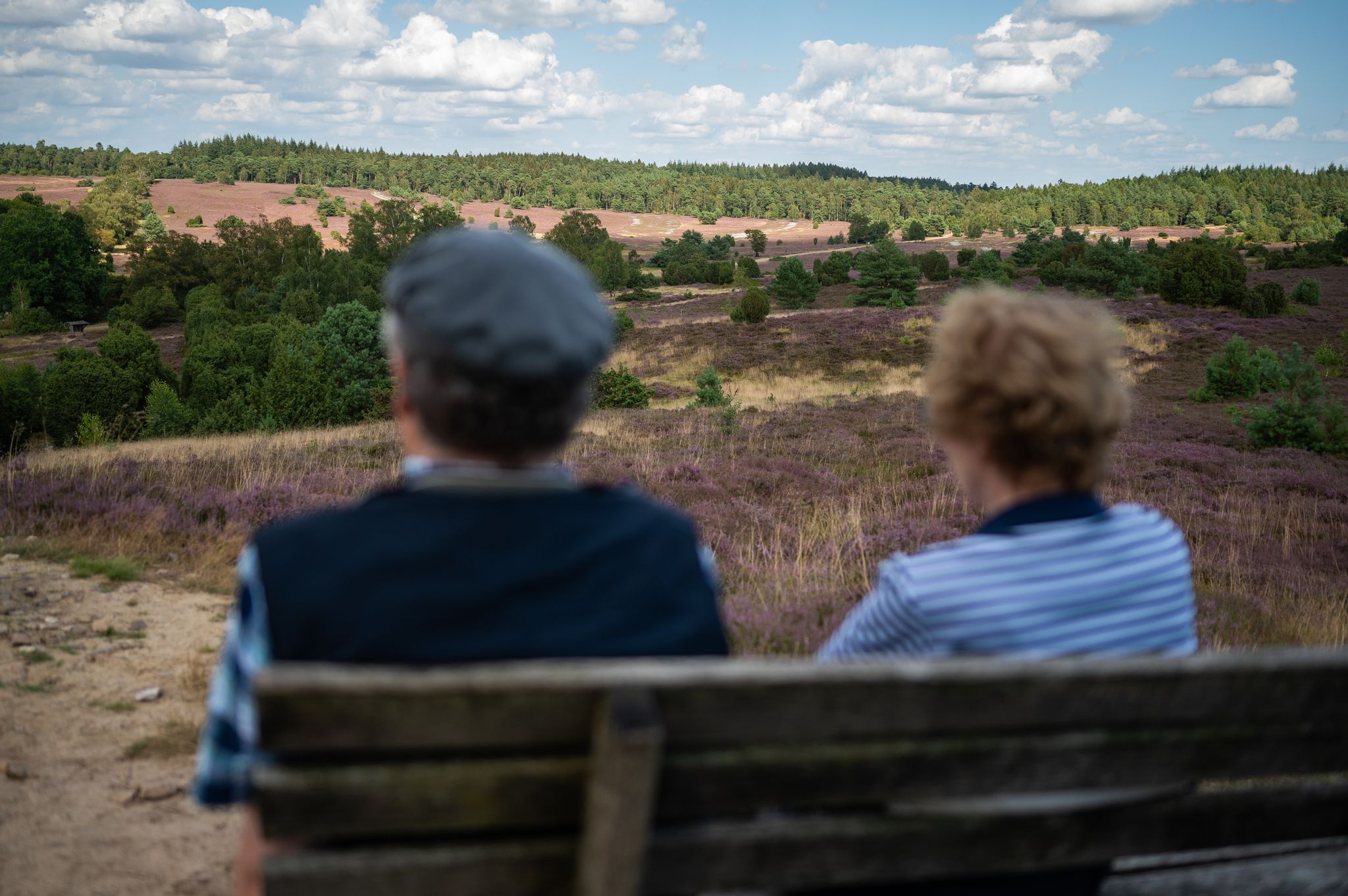 Maßnahmen gegen Fachkräftemangel: Rentenabschläge und längere Lebensarbeitszeit könnten helfen