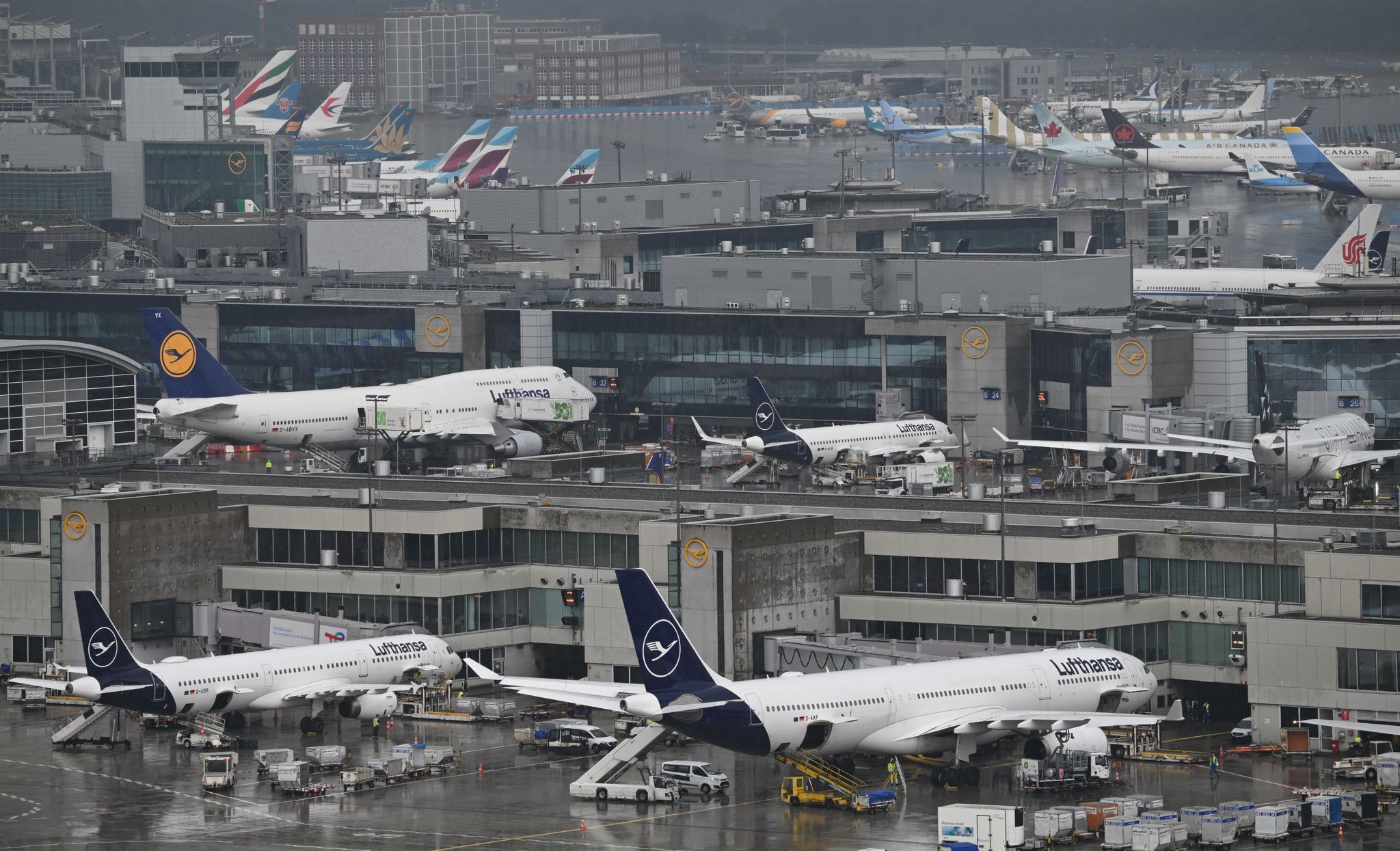 Stromausfall am Flughafen durch Nagetier verursacht