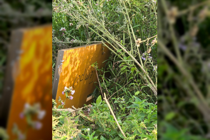 Elmshorn: Illegal Müllentsorgung bei Groß Nordende