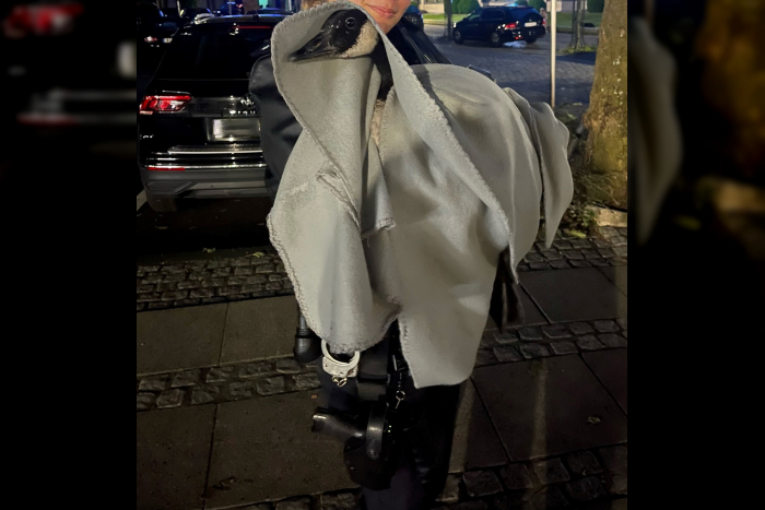 Chaotische Küchengans in Kiel