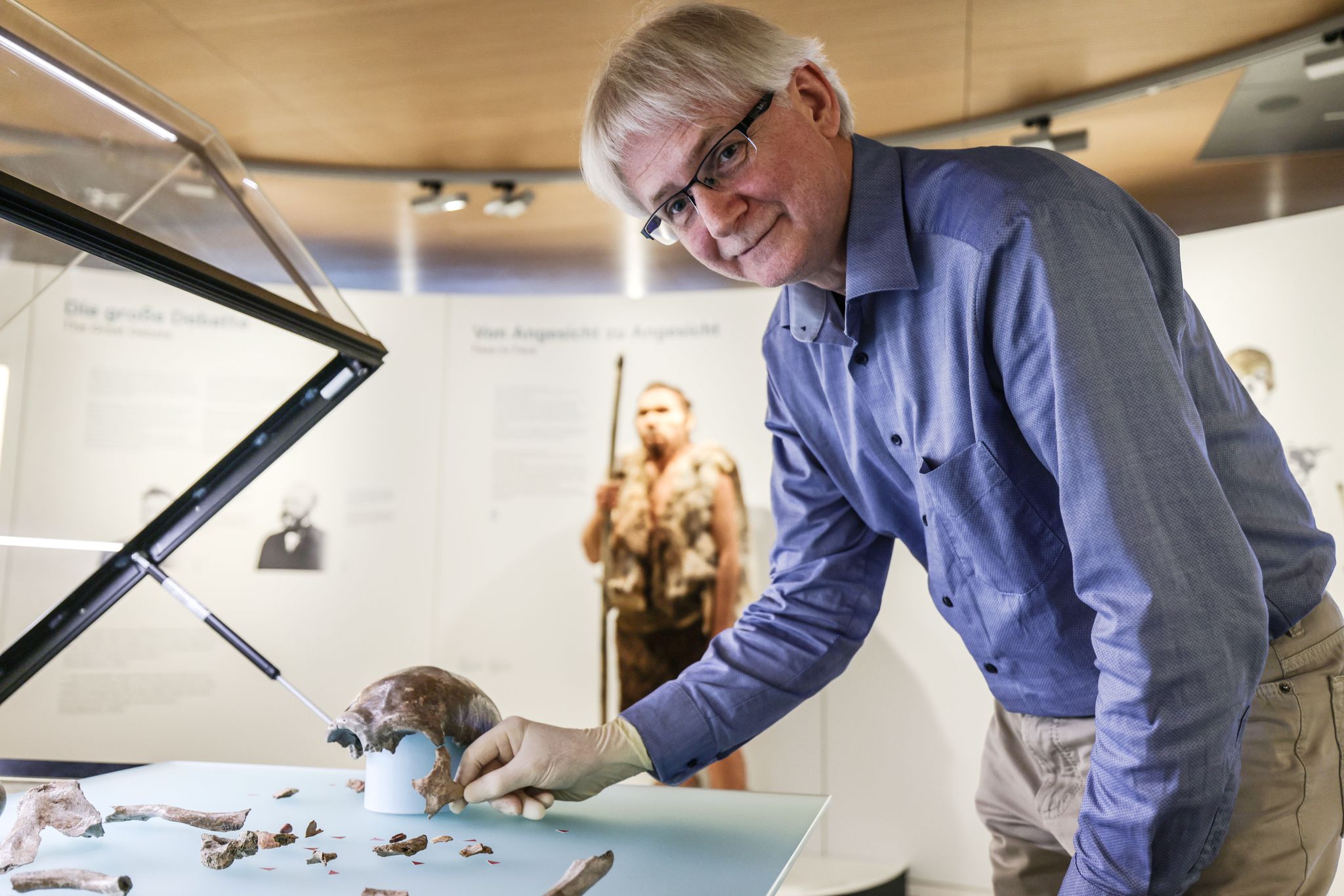 Der Neandertaler, der seiner Art den Namen gab