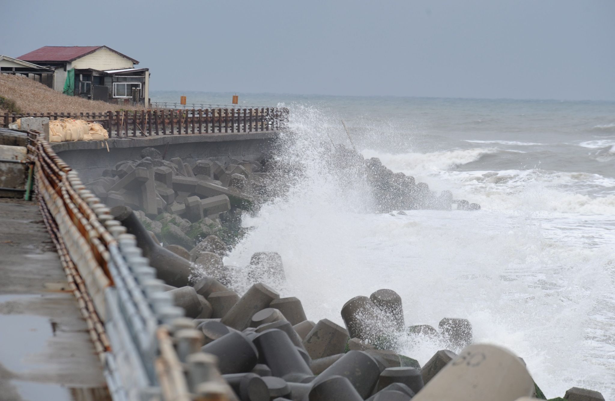 Japan warnt vor erhöhtem Risiko eines Mega-Bebens an der Pazifikküste