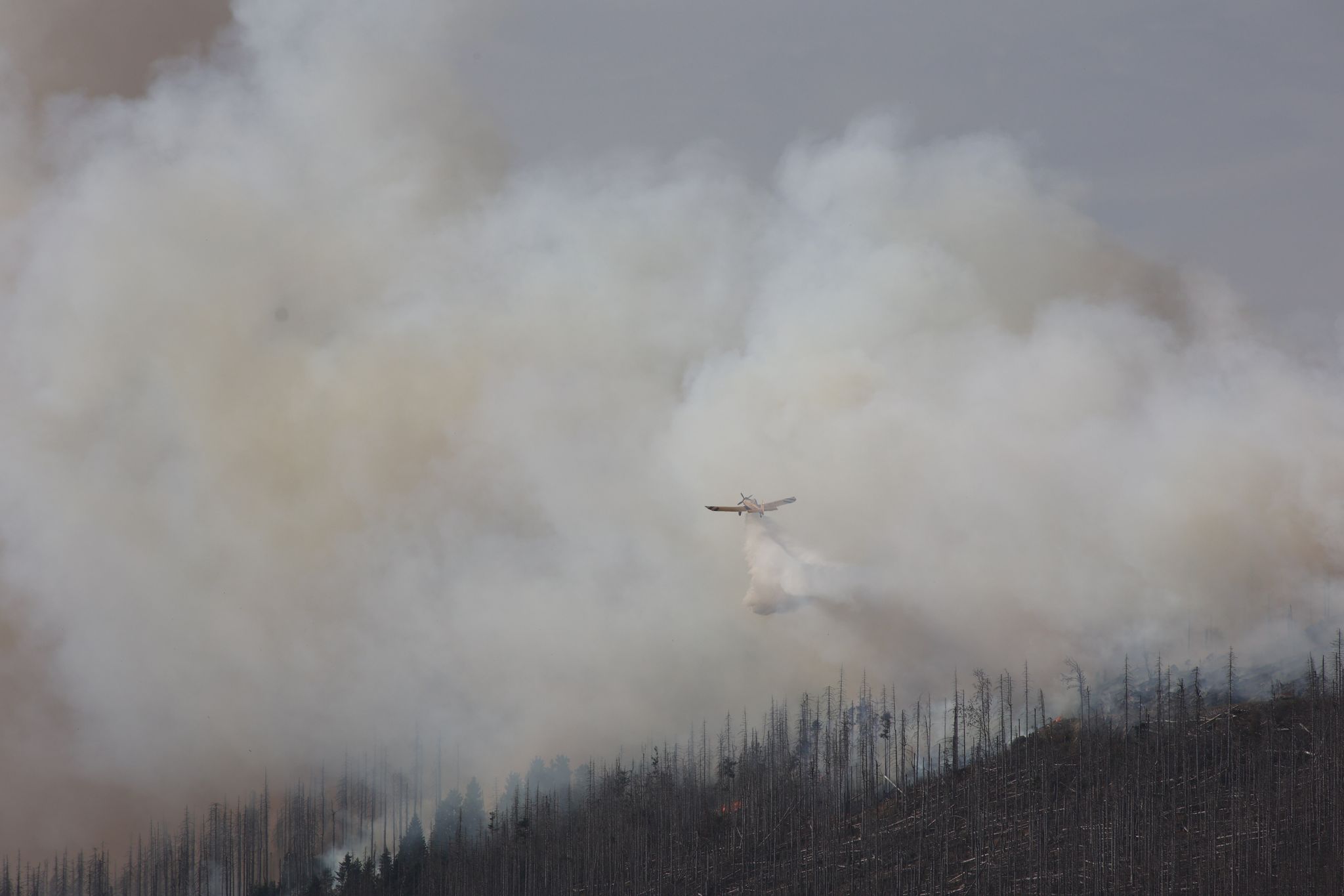 500 Menschen evakuiert vom Brocken wegen Waldbrand