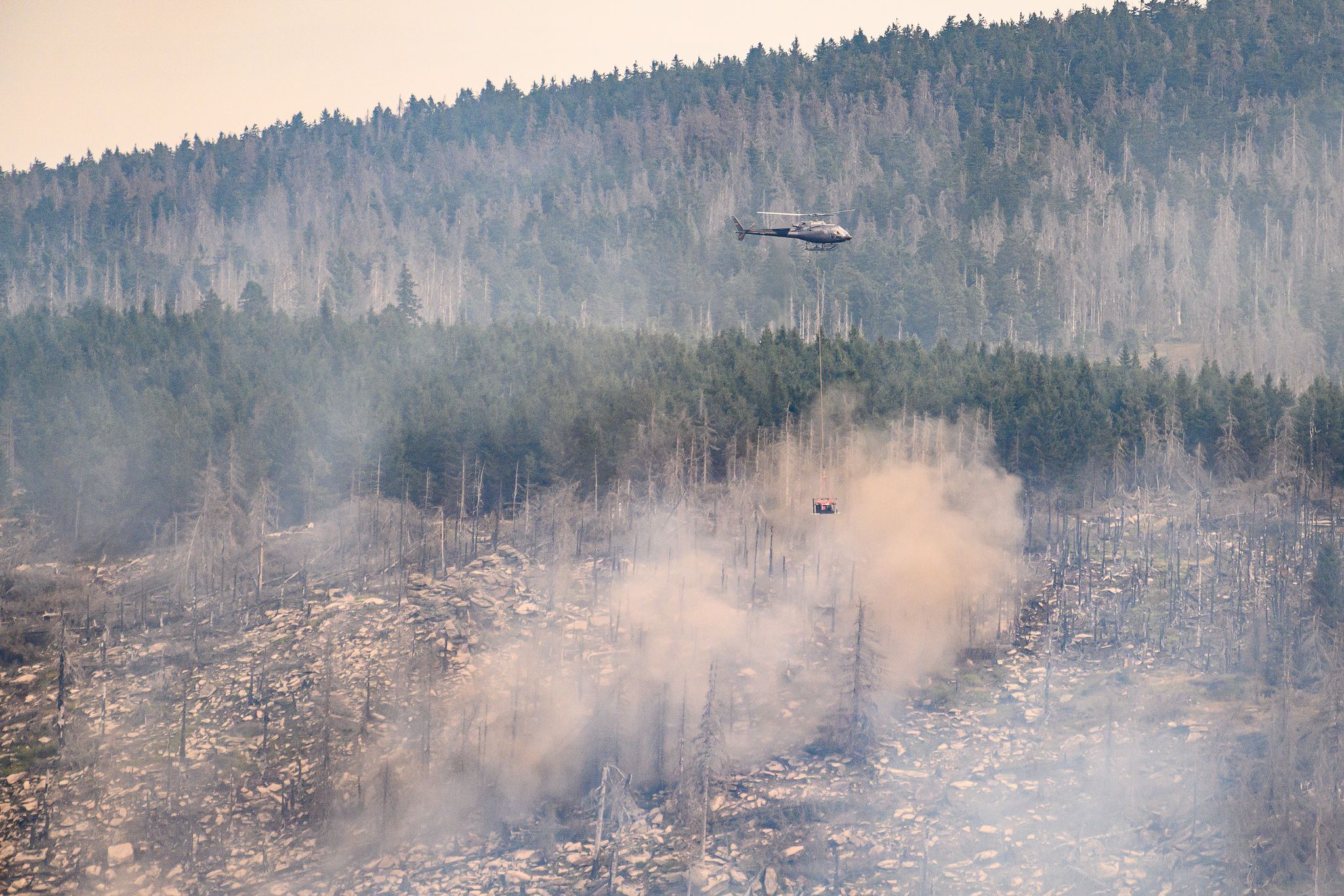 Großbrand am Brocken – Verdacht auf Brandstiftung