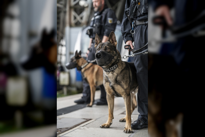 Egestorf: Guter Spürsinn bei Bundespolizei