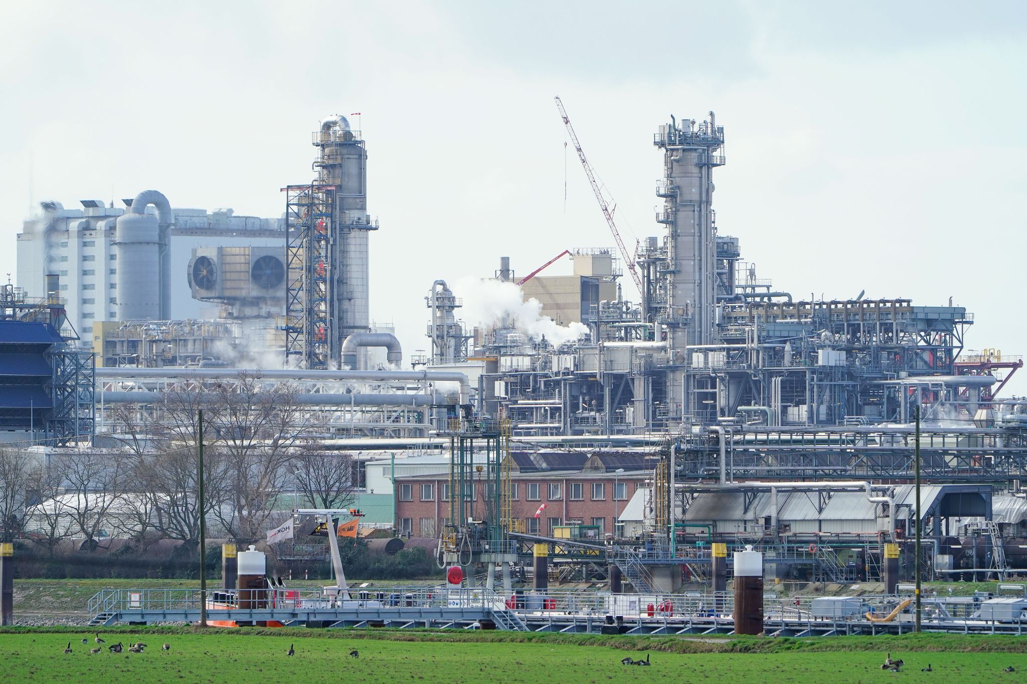 Chemiekonzern BASF plant Börsengang der Agrarsparte