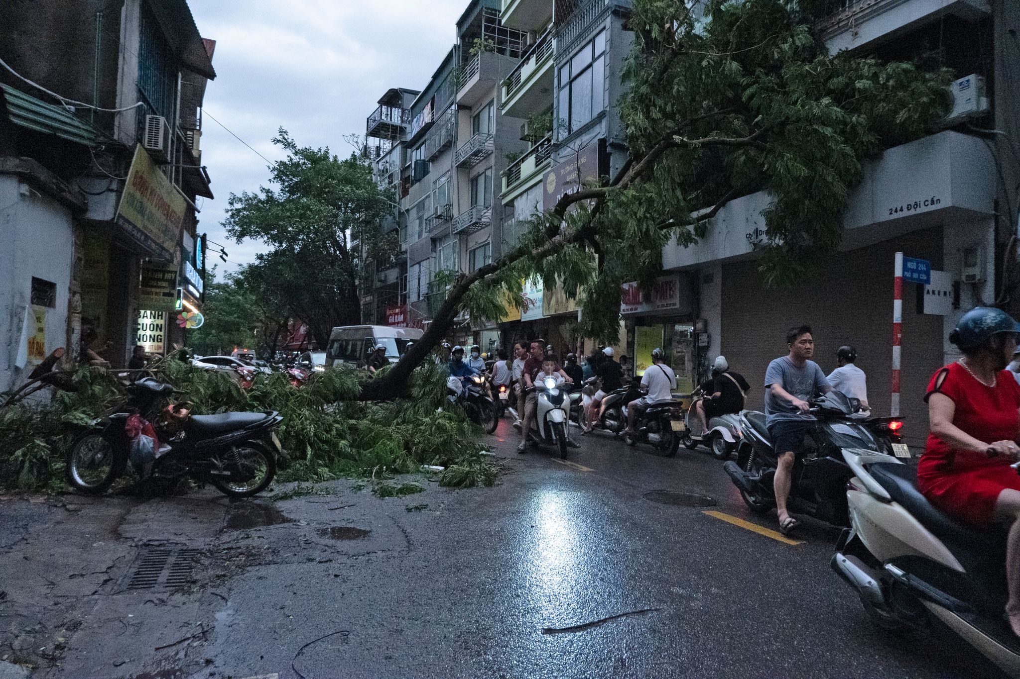 Verwüstung in Vietnam: Super-Taifun «Yagi» hinterlässt Spur der Zerstörung