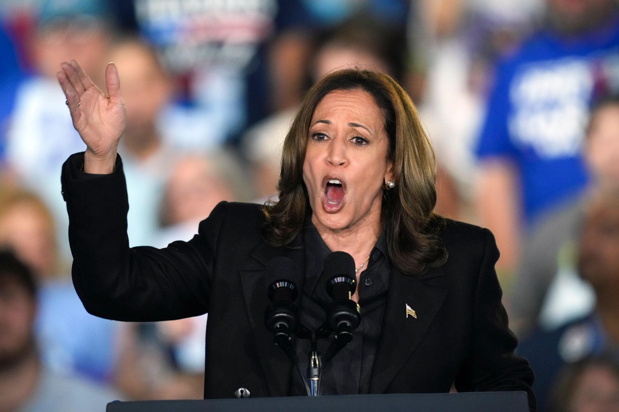 Kamala Harris: Will niemandem die Waffen wegnehmen