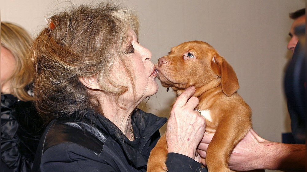 Brigitte Bardot wird 90: Ein tierisch engagiertes Sexsymbol