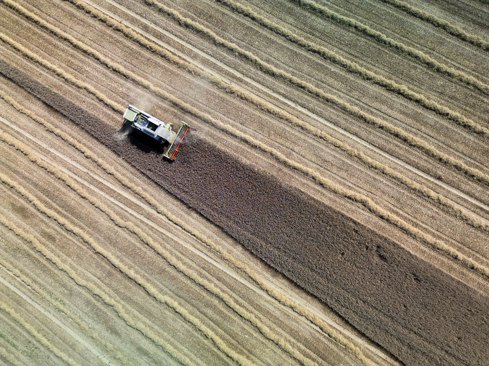Studie: Landwirtschaft könnte Treibhausgase stark reduzieren