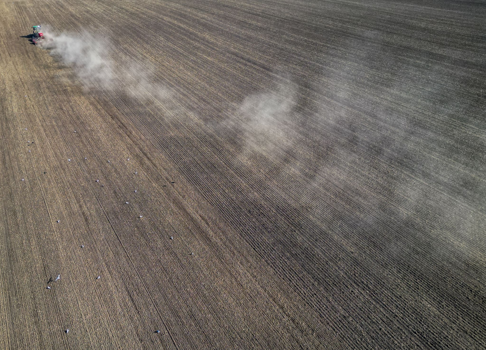 Expertendialog empfiehlt Umbau der EU-Agrarpolitik