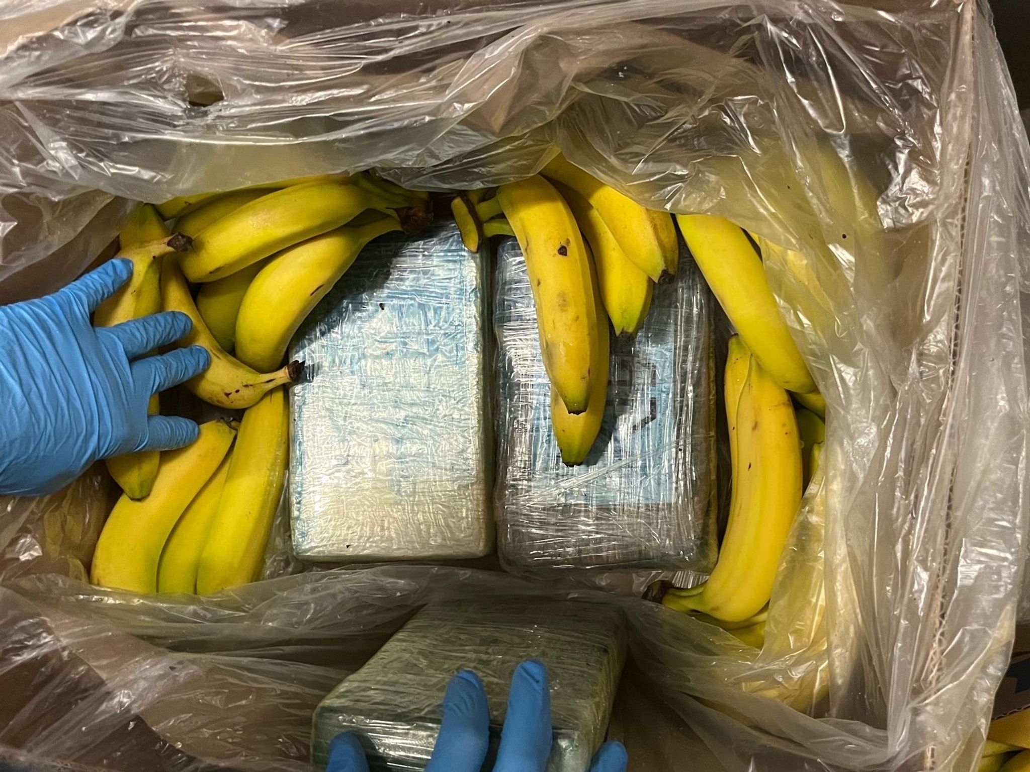 95 Kilo Kokain in Bananenkartons landen beim Discounter