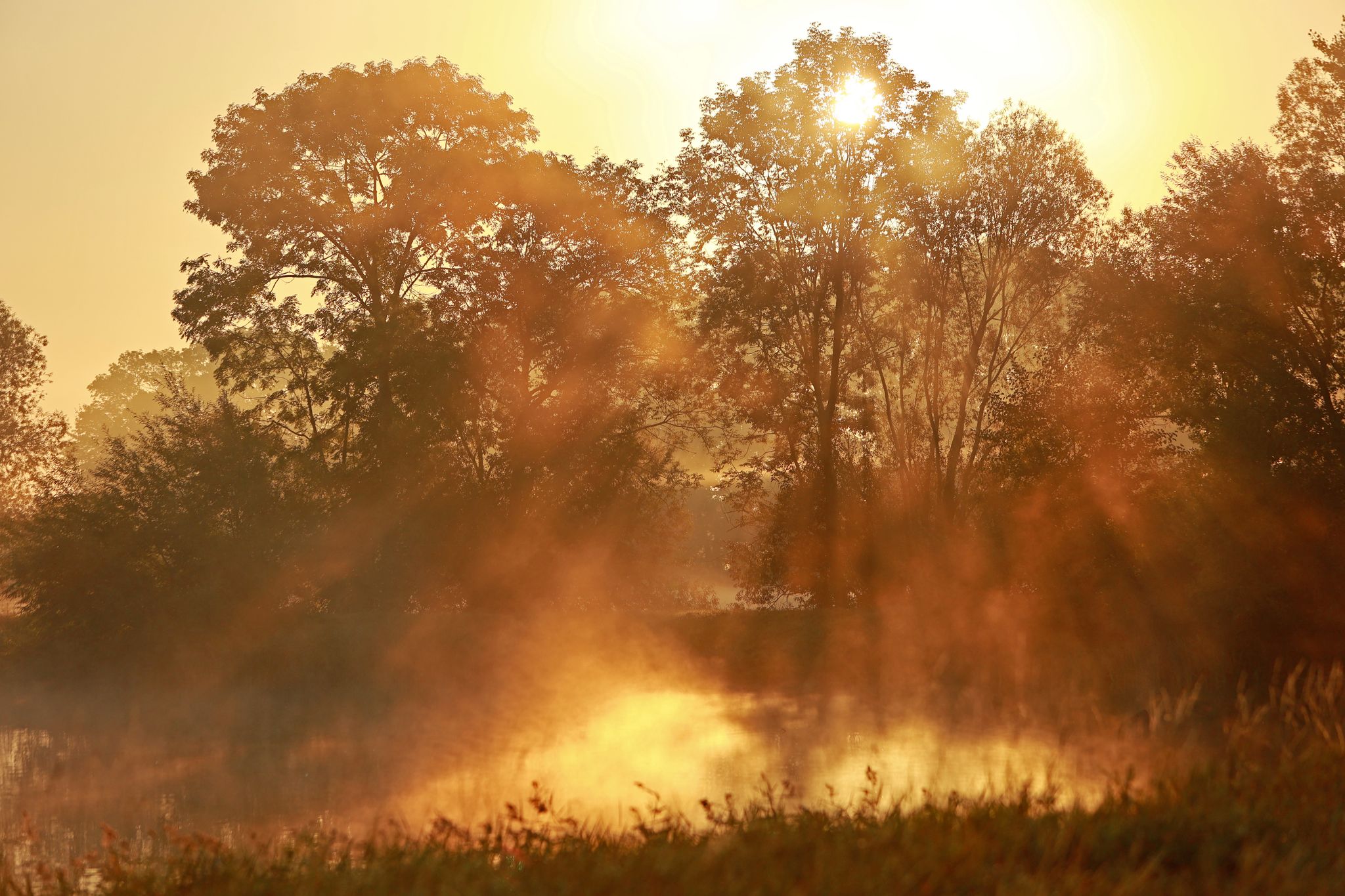 Herbstwetter im Anmarsch: Regen, kühle Luft und stürmische Böen erwartet