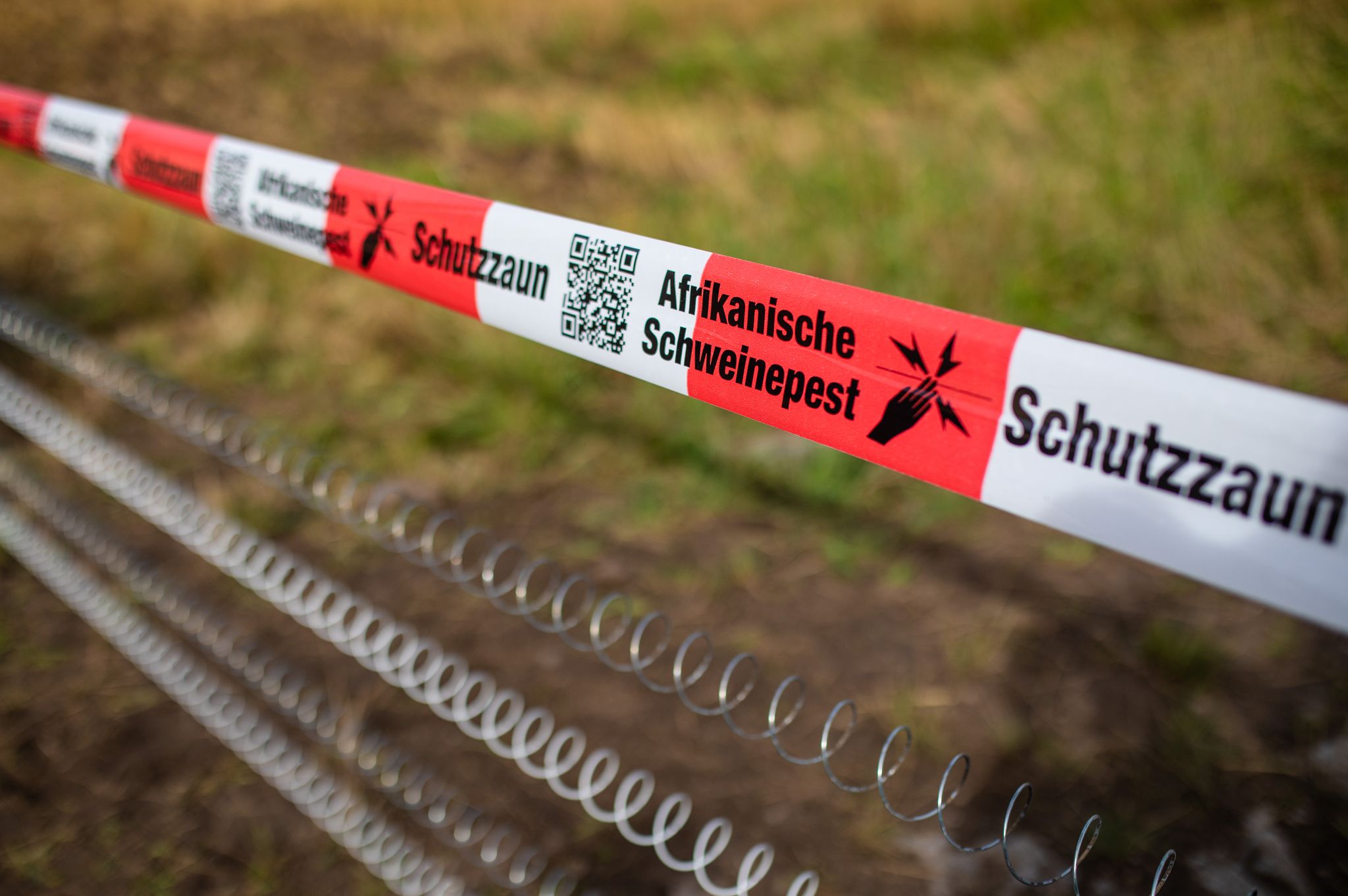 Hilfen für Schweinehalter und Bürokratieabbau beschlossen