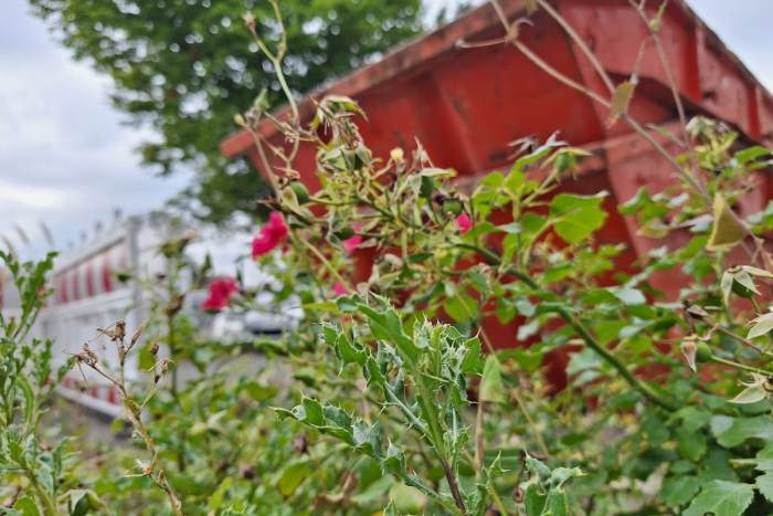 Jüchen: Umfangreiche Durchsuchungsmaßnahmen im Tagebau Garzweiler