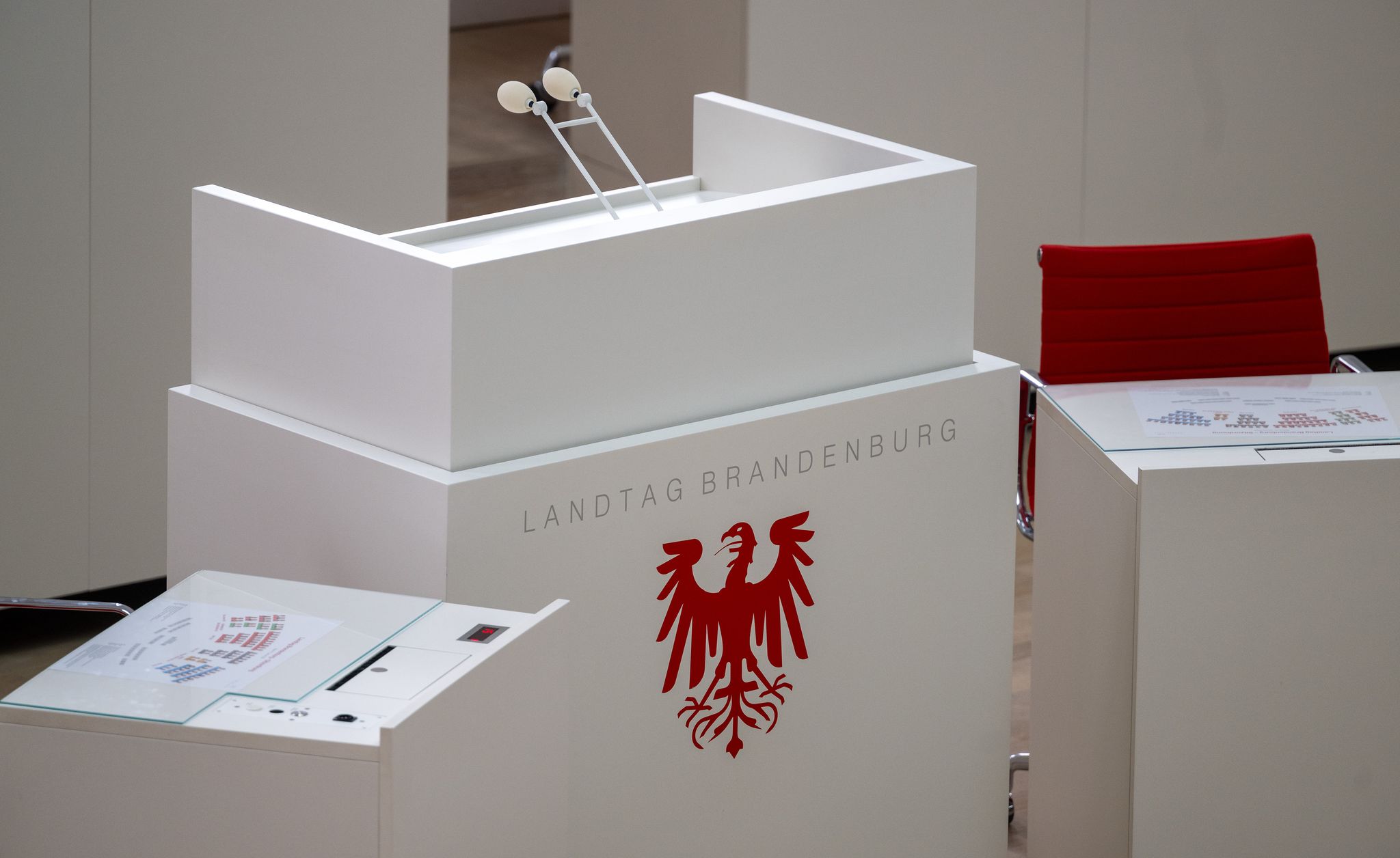 Brandenburg hat die Wahl – AfD und SPD ringen um Platz eins