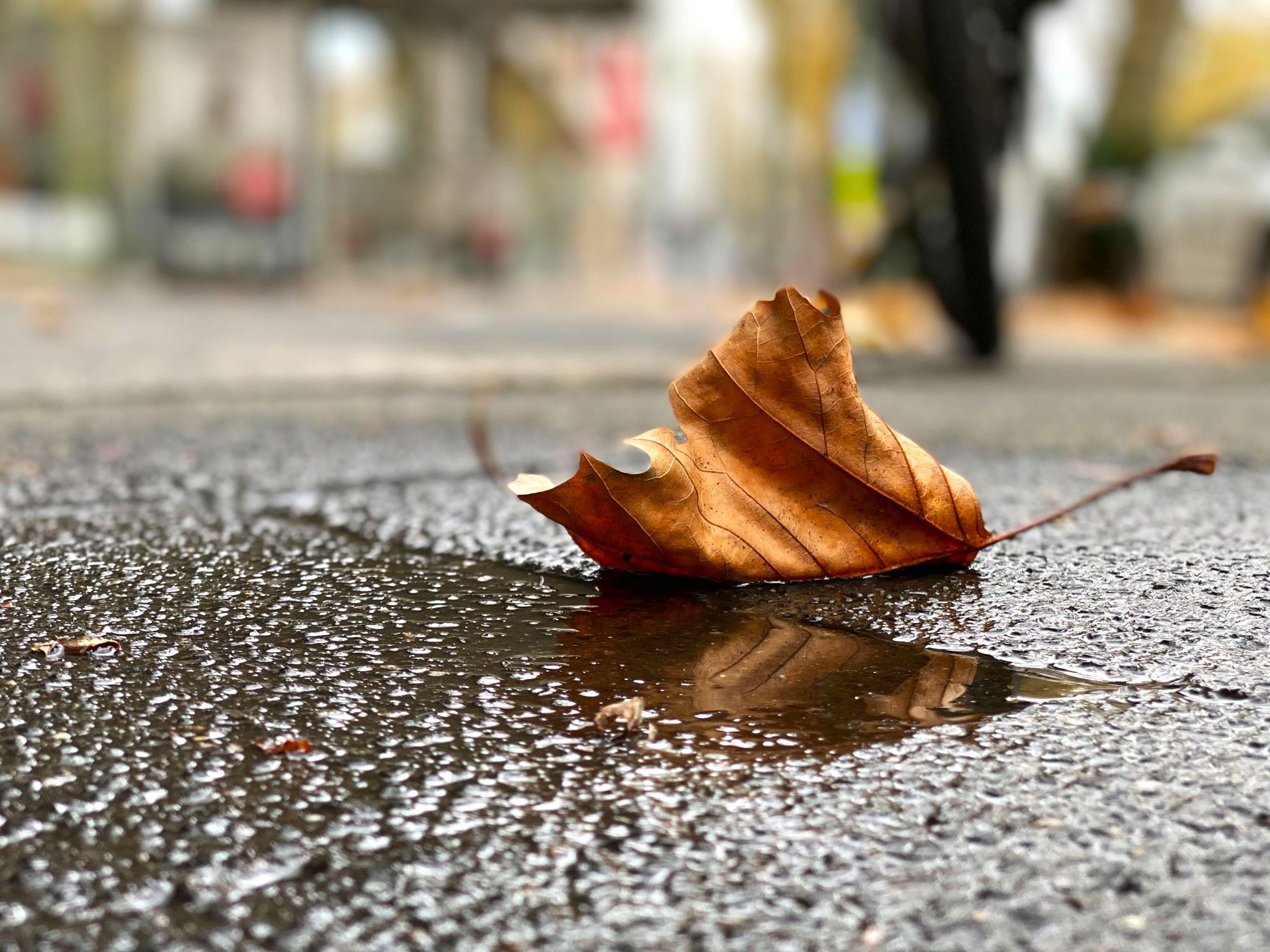 Herbstwetter bringt Regen und Schnee nach Deutschland