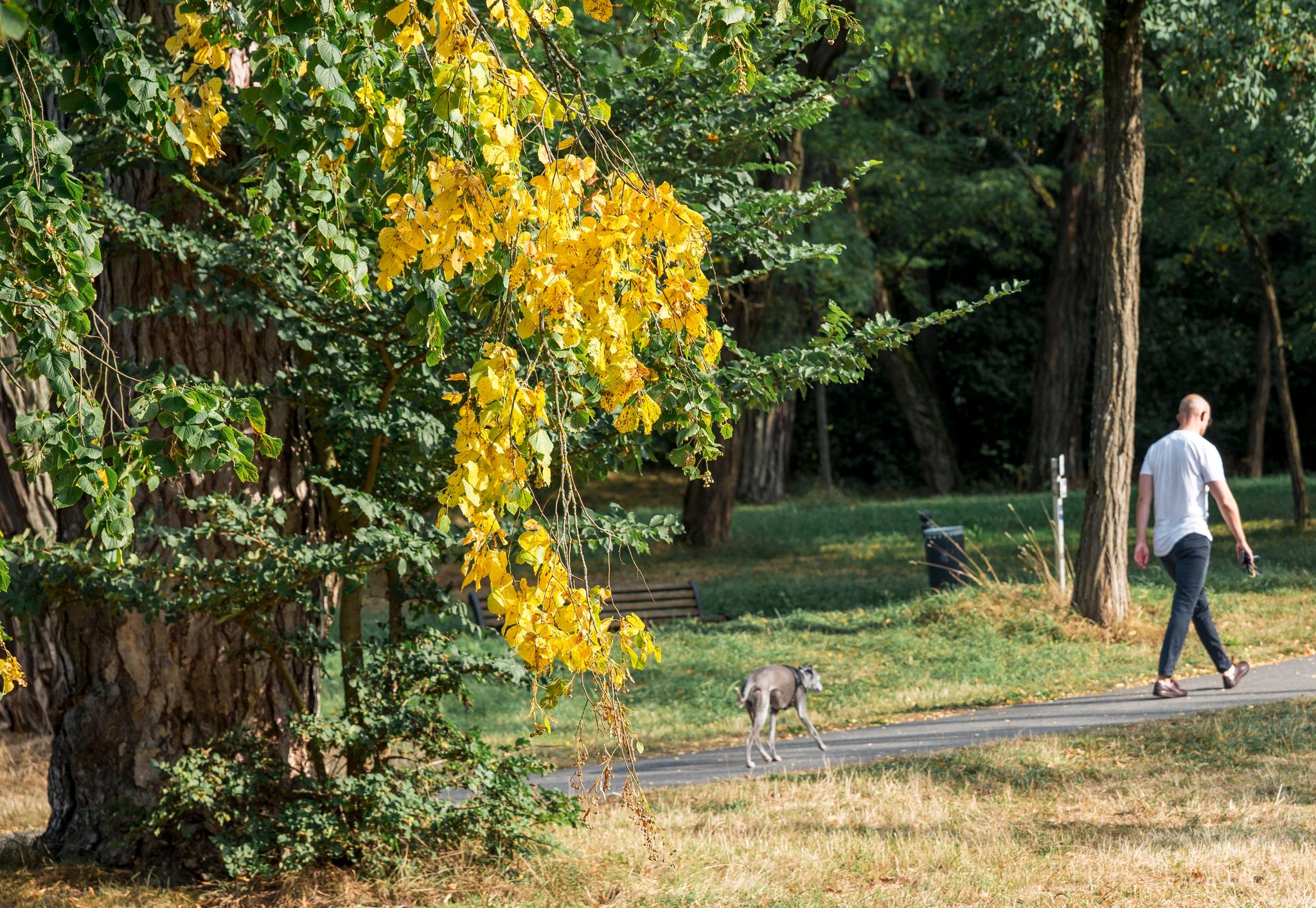 Wetterextreme in Deutschland: Warme Temperaturen und Unwettergefahr halten an