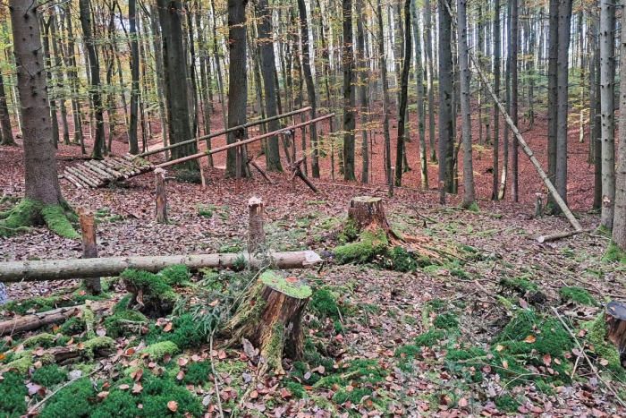 Buchenau: Unbekannte fällen Fichten und bauen Gebilde