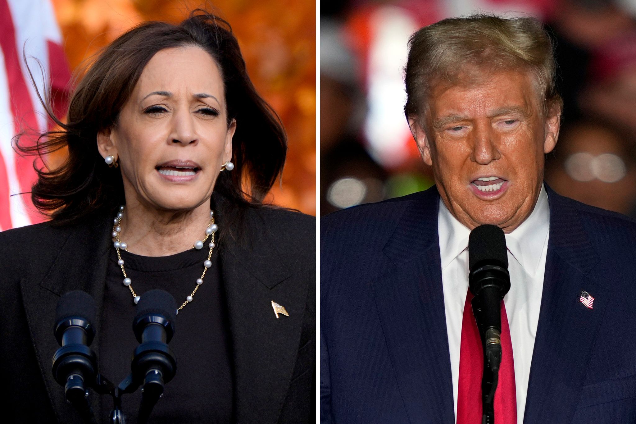 Harris oder Trump? So läuft die US-Wahl