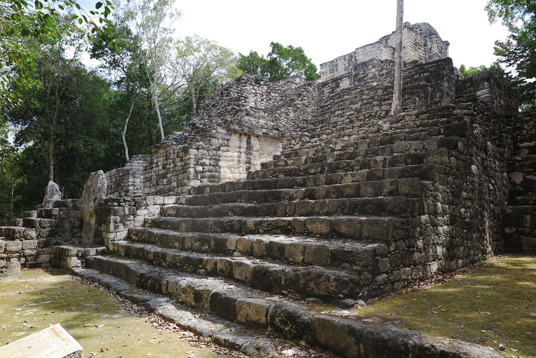 Große Maya-Siedlung im mexikanischen Dschungel entdeckt