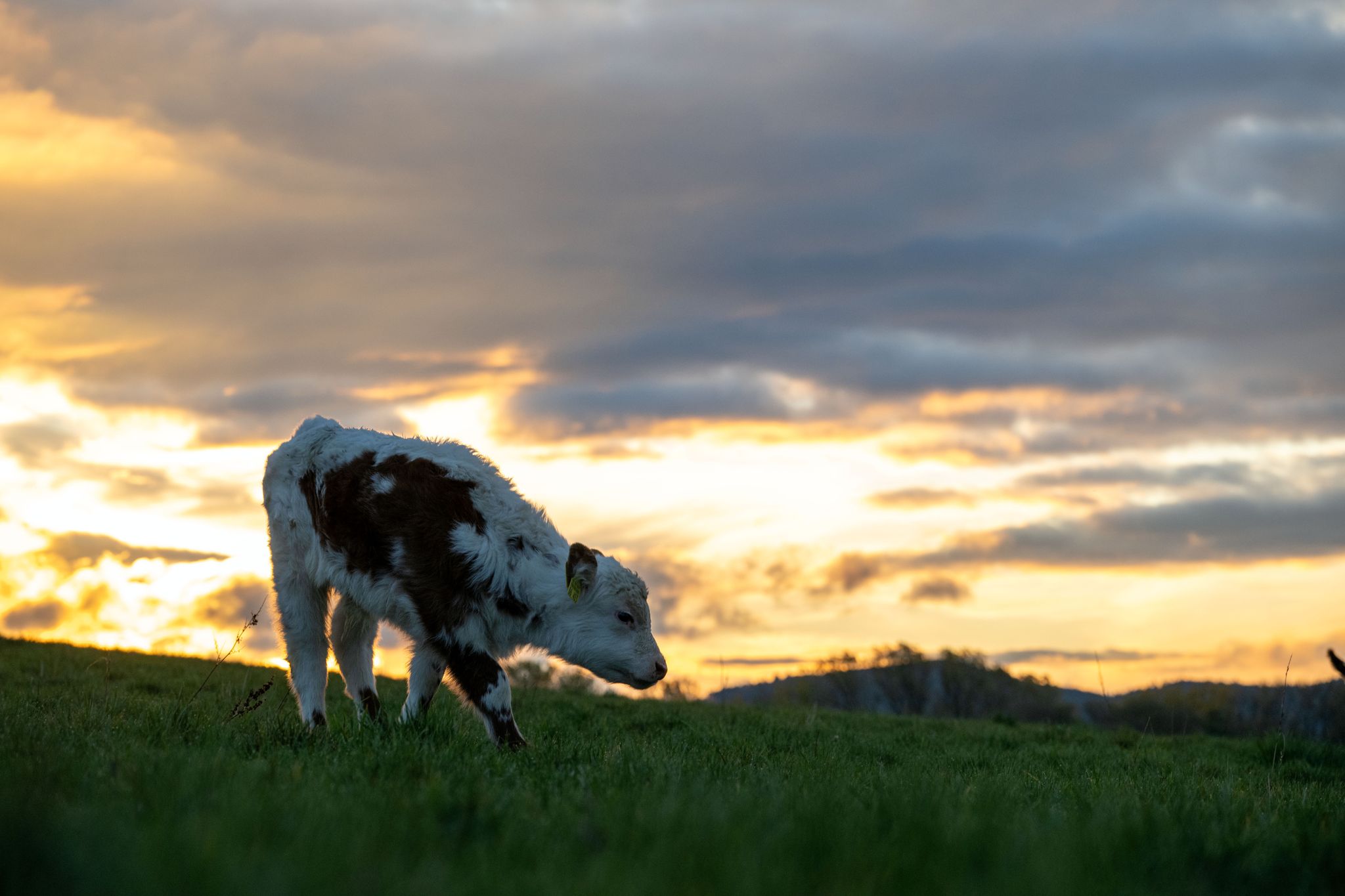 Mildes Herbstwetter mit Sonne, Wolken und Regen