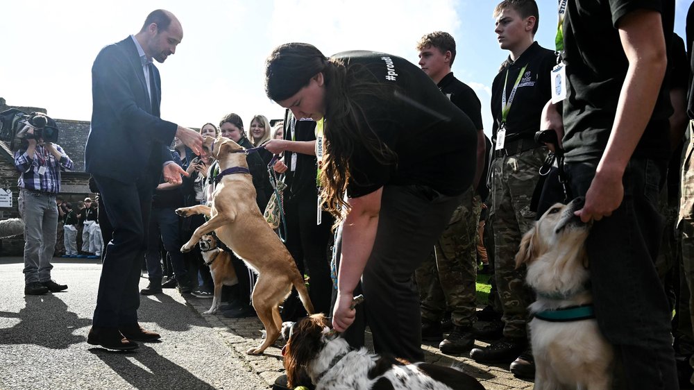 Prinz William zeigt seine Hundeliebe bei Besuch in Cornwall