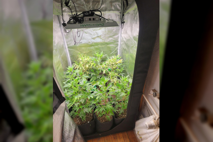 Bemerkenswerter Drogenfund in Kieler Wohnung