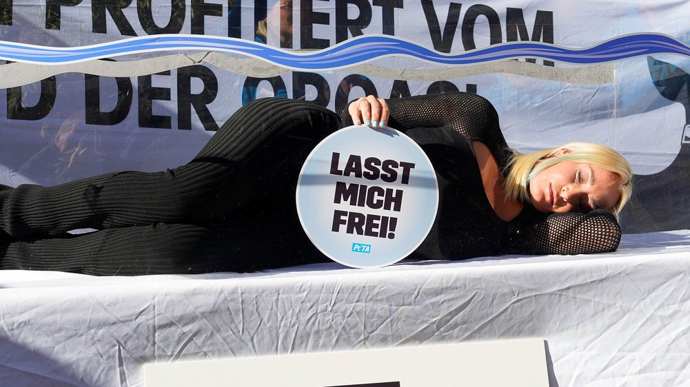 Sängerin Sarah Connor protestiert gegen TUI für Orca-Schutz