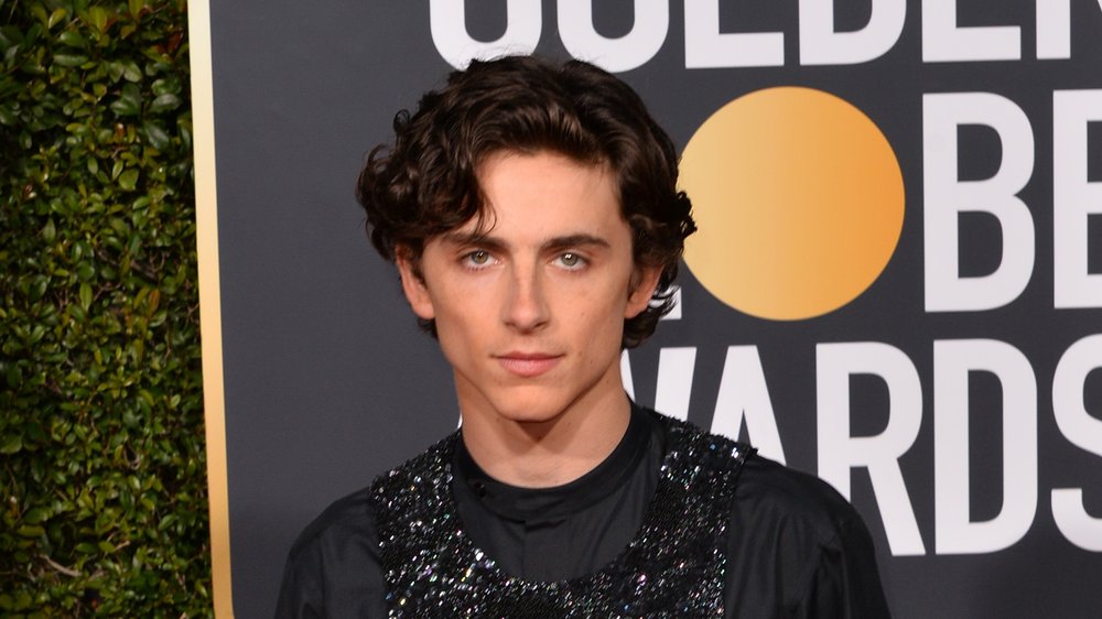 Doppelgänger-Wettbewerb von Timothée Chalamet sorgt für Aufsehen in New York