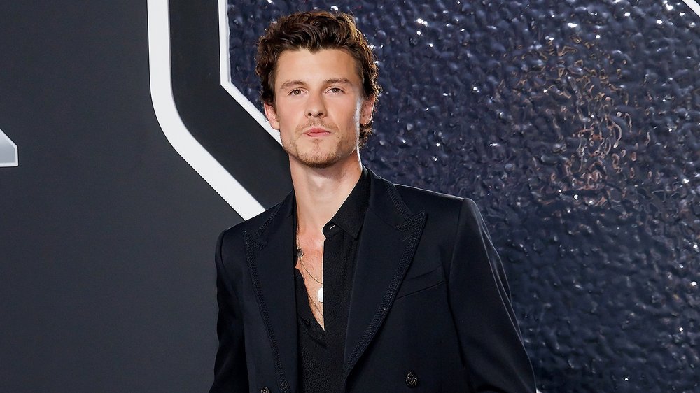 Shawn Mendes verschiebt Album-Veröffentlichung