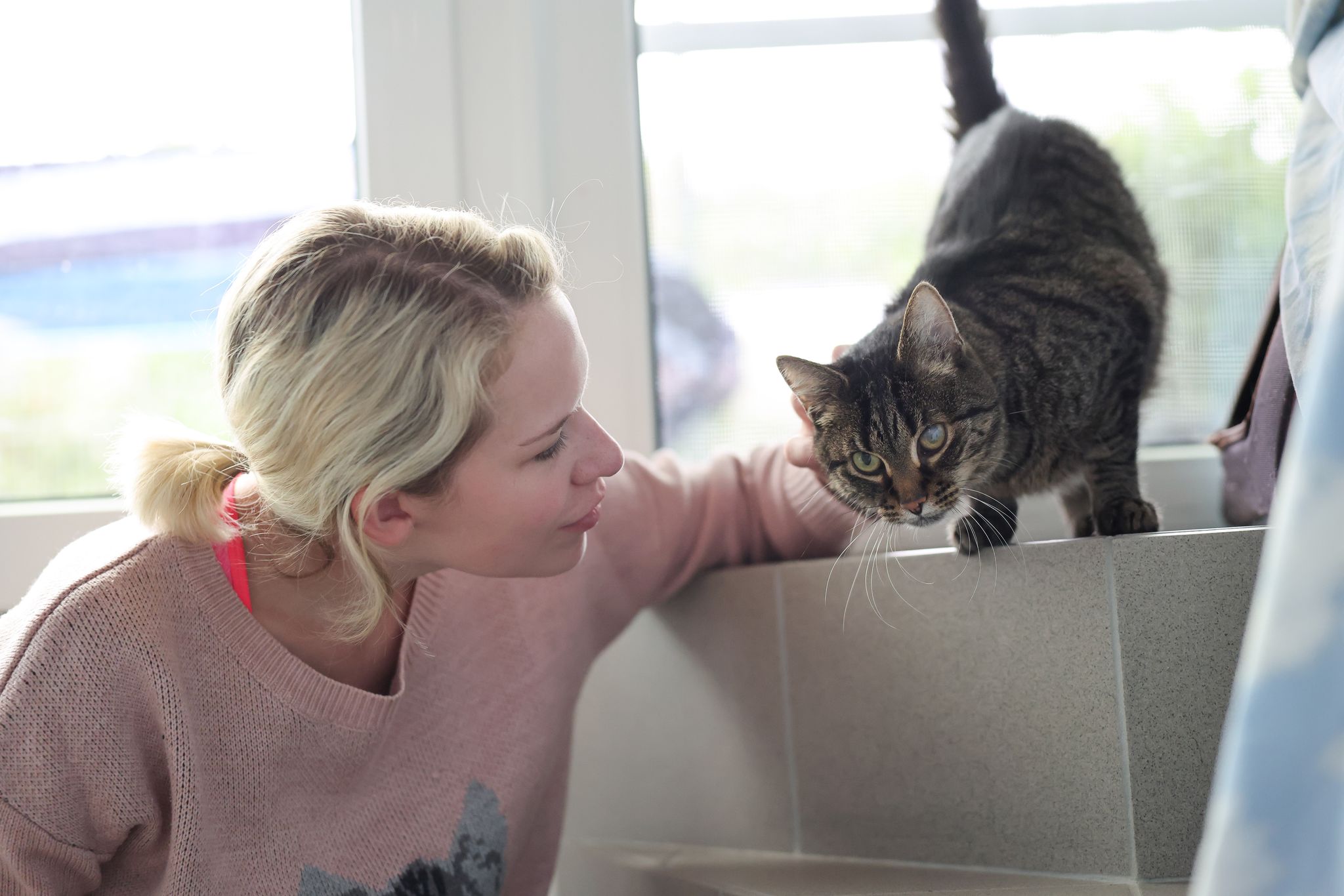 Schmusen und Spielen – Tierheime suchen Katzenstreichler