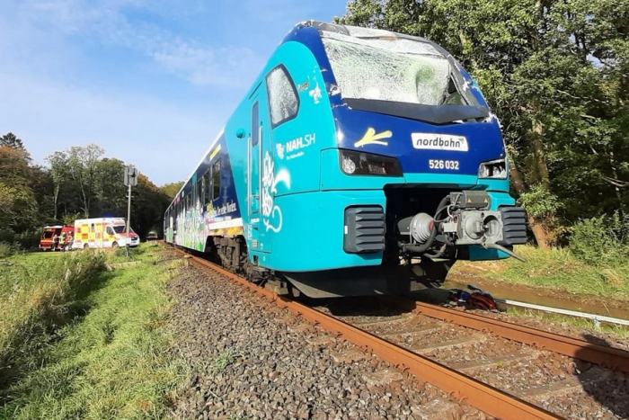 Wapelfeld: Zug kollidiert mit Baum