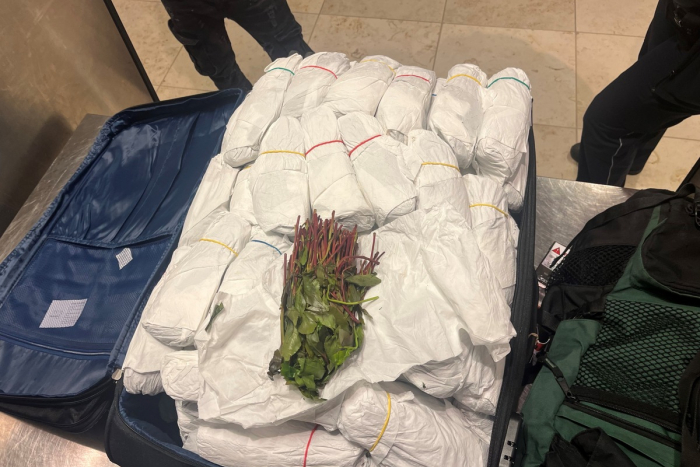 Cottbus: 31 Kilogramm Kath am Flughafen Berlin Brandenburg gefunden