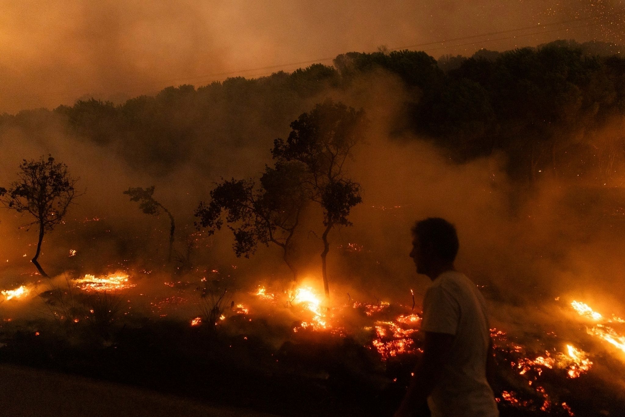 Bericht: 2023 eines der schlimmsten Waldbrandjahre in Europa